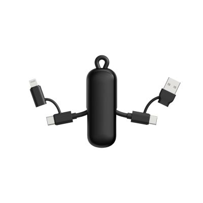 Urban Vitamin Dublin 100W 4 -in-1 keychain cable